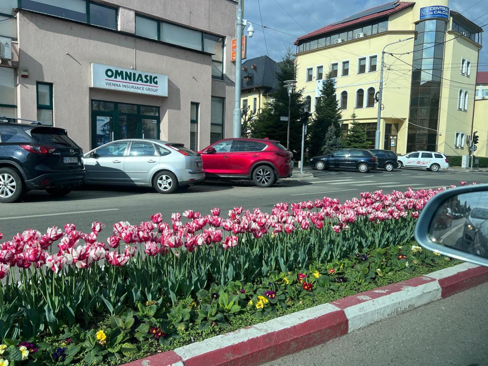 Central-Home Targu Jiu Luaran gambar